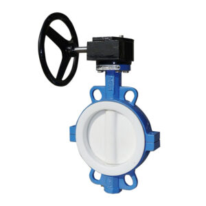 butterfly valve gear type