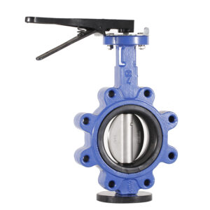 Pn10 Pn16 API ANSI DIN JIS Cast Iron Stainless Steel Wafer Lug Butterfly Valve
