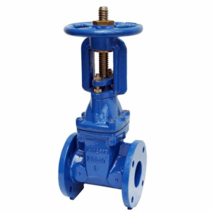 Resilient Seat Rising Stem Gate Valve