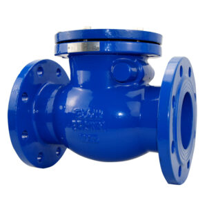 BS5163 flanged end swing check valve