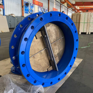 Flange double plate check valve