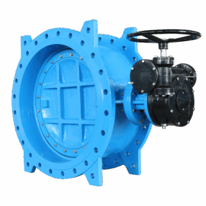 Double offset butterfly valve