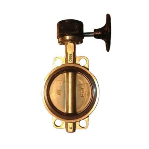 API609 DN100 Aluminum Bronze Wafer Butterfly Valve