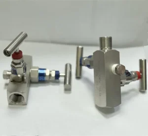 0 6000Psi to 10000psi Needle Valve SS316 SS304