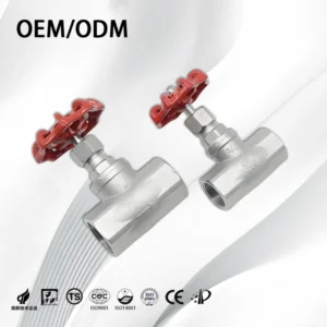 1/2″ 3/4″ 1″ 2″ Stainless Steel 304 316 2Way BSP NPT Threaded Globe Valve with Manual Handle