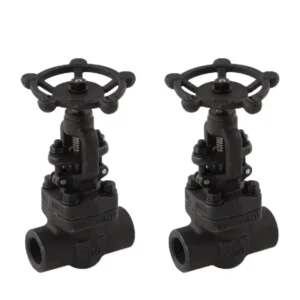 1/2″-4″ Industrial Female WCB Forged Steel Gate Valves 800LB Socket Welding Manually Operated Globe Valves