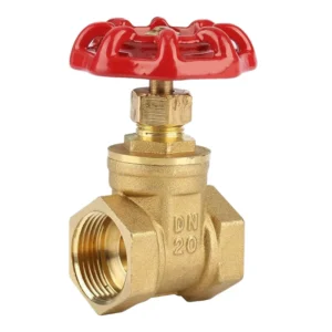 1/2 Inch Brass Water Gate Valve
