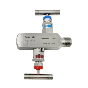 1/2 NPT Female and Male 6000 PSI Block and Bleed Pressure Gauge 2 Needle Valve Instrumentation Two Valve Manifold MXF Valve