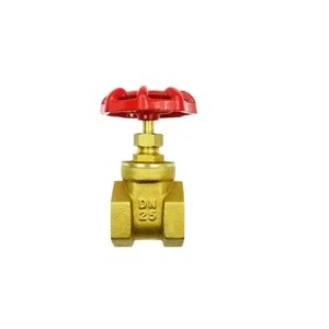 1/4″-4 Inch Brass High Temperature Globe Valve Female Thread Manual Pneumatic Gate Ball Valves for Water OEM