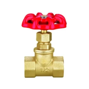 1” Manual Globe Valve with Brass Disc Fnpt X Fnpt Connection 2-Year Warranty for Water Control Customizable OEM Support