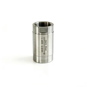 1-Piece Manual Spring Loaded Check Valve Stainless Steel 304 PN40 DN32 CE Certified Custom NPT Thread High Temperature Water Oil