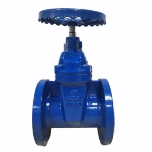 125LB GGG50 3 Inch Soft Sealing Non-Rising Stem Resilient Seated Cast Iron Gate Valve Handwheel Flanged Gate Valve