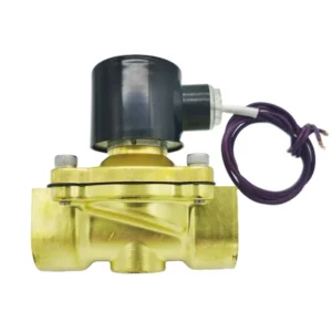 12V 24V Carbon Steel Solenoid Valve 2W250-25V Normally Closed Water Shutoff Diaphragm OEM Customizable FNPT x FNPT