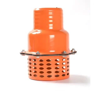 2 3 4 5 6 8 10 12 Inch Stainless Steel Plate Bottom Valve Water Suction Foot Valve Gate Valve