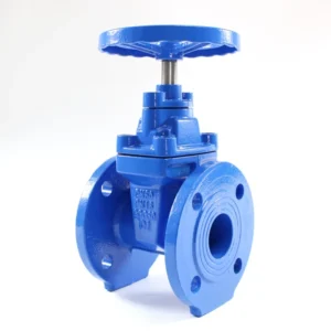 2″ 4″ Water Valve Resilient Seat Soft Seal Flange Water Control Gate Valve