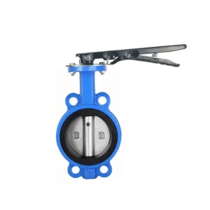 2 Inch Polishing Plate EPDM Rubber Seat Cast Iron Handle Wafer Butterfly Valve