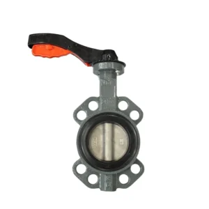 2 Inch Powder butterfly Valve