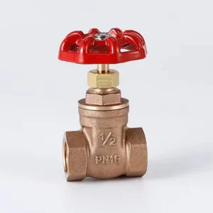2 Inch Sluice Valve Manual Slide Gate Valve Bronze Gate Valve