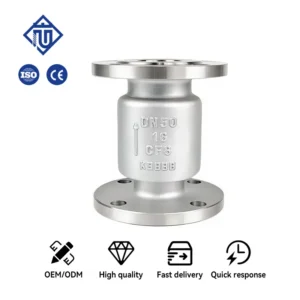 2 Inch Stainless Steel Flange Vertical Check Valve Non Return Valve DN15 DN200