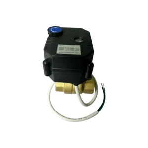 2 Way Brass Motorized Ball Valve DN15 DN25 Options Customizable OEM Support
