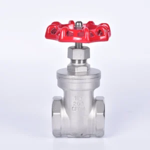 200psi Stainless Steel Gate Valve With Thread End