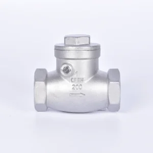 200psi Stainless Steel Swing Check Valve