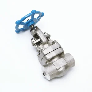 3 4″ DN20 J11W SS304 Stainless Steel Manual High Temperature Globe Valve with Butt Welding