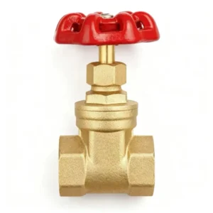 3/4” Manual Brass Globe Valve with FNPT x FNPT Connection for Water Control Customizable OEM Support 2-Year Warranty