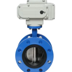 3 Inch 2 Inch Electric Motorized Butterfly Valve Smart Water Valve for Irrigation Chemical Applications and Water Control