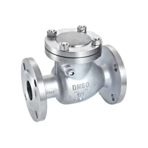 3″ Inch Class 300LB CF8 Swing Check Valve