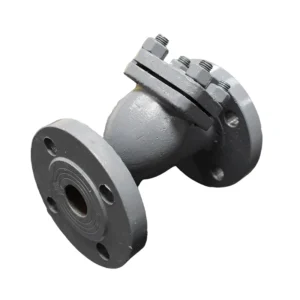 3 Inch DN80 PN16 CF8 Stainless Steel Flanged Y Type Strainer Industrial Pipeline Filter Manual Water