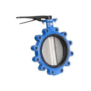 3 Inch Ductile Iron Manual Disc Connected Butterfly Valve Double Flange Rubber Lining Flap Check Valve for High Oil Water Gas