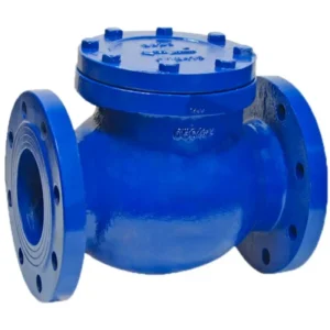 3 Inch Ductile Iron Swing Check Valve ANSI API 600