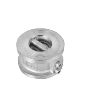 304 Stainless Steel Double Disc Butterfly Check Valve H76W for Water Dn50-Dn1200 Port Size PTFE Sealing
