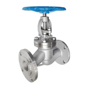 304 Stainless Steel Flanged Globe Valve J41W Manual High Temperature Steam Corrosion Resistant Shutoff 316 Stainless Steel