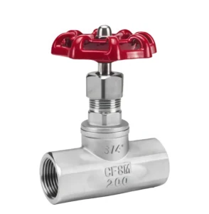 304 Stainless Steel Globe Valve J11W BSP Thread for Pipeline Throttling & Shut Off