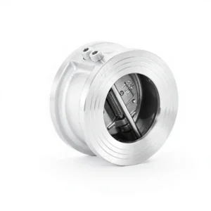 304 Stainless Steel H76W Mechanical Wafer Type Double Disc Butterfly Check Valve for Water DN15 DN200 Room Temperature