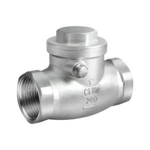 304 Stainless Steel Horizontal Swing Check Valve Female Threaded Corrosion-resistant Water Valve with PTFE Sealing