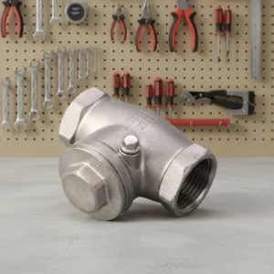 304 Stainless Steel Internal Thread Horizontal Check Valve Swing Check Valve One-way Check Valve
