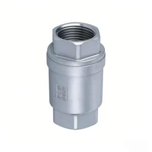 304 Stainless Steel Internal Thread Vertical Check Valve Water Flow Control Vertical Spring Type Vertical Valve