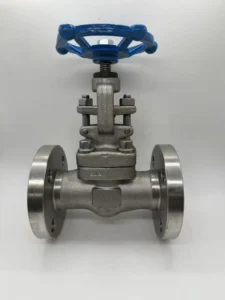 316 Stainless Steel DN25 Flange Globe Valve Manual Control Valve for Steam/Gas/Water/Oil Shutoff OEM