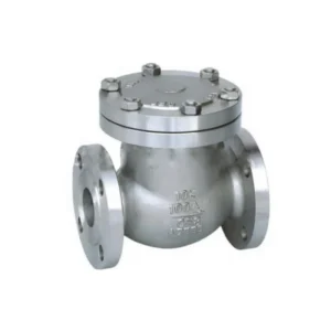 316 Stainless Steel Non Return Valve 1.6Mpa 4 6 Inch 100mm Check Valve