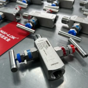 316L Stainless Steel 1/2 Female X Male NPT 6000 PSI Block and Bleed Valve 2 Way Manifold Valve for Pressure Transmitter