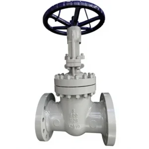 316L Stainless Steel Gate Valve CF3M Low Carbon Corrosion Resistant for Marine Chemical Plant