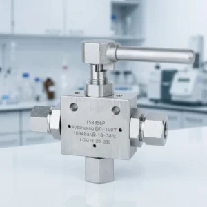 316L Stainless Steel Needle Valve 20000PSI RPTFE Packing High Pressure Metal to Metal Sealing 1 4″ 1″