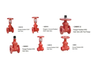 32Mm Steel Gate Valve Drawing Carton Steel Flanged Grooved Gate Valve with Post Flange