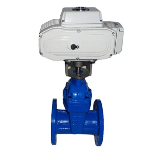 380VAC 220VAC Electric Actuator Ductile Iron Flange Rubber Seat Motor Operated Gate Valve