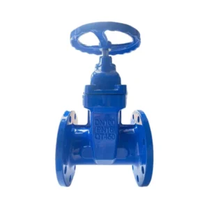 4 Inch Pneumatic Cast Iron Flanged Water Gate Valve Manual Gate Valves for Water Systems Product Type