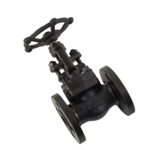 A105 Forged Steel Globe Stop Valve High Temperature Solenoid Water Pressure Regulator Drain Valve OEM Flange Connection Pipe