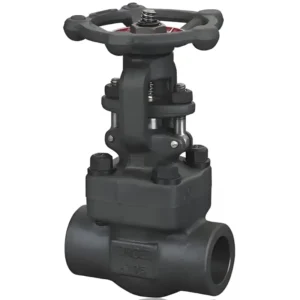 A105N Forged Steel Sleeve Welded Thread NpT J61H Globe Valve Can Be Customized